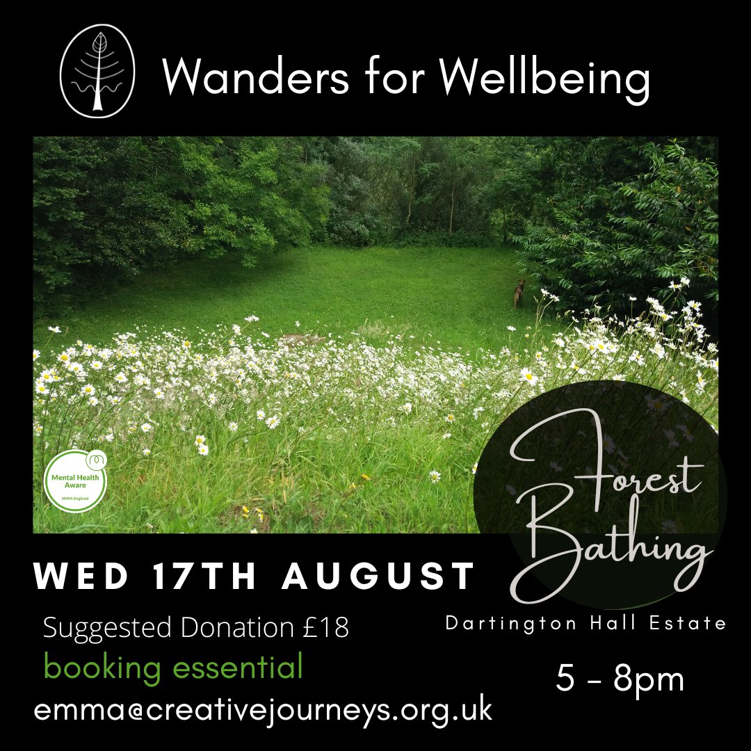 creative journeys tweet media