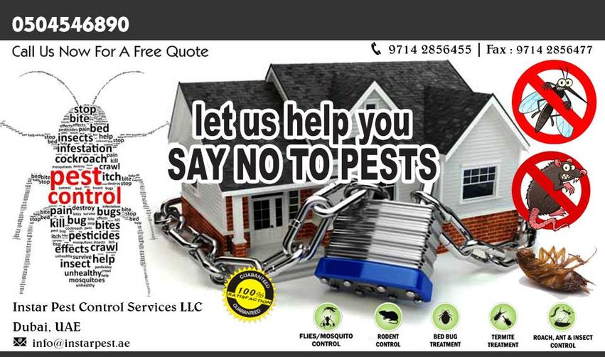 Instarpestllc's tweet photo. We provide complete solutions to a wide variety of pest related issues - https://t.co/4ikJPbxiGx
Get your free quote now : 0504546890
#pest #control #dubai #services #health #safety #environment https://t.co/CKrAYjNVMM