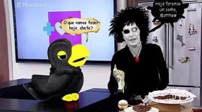 luanacalais's tweet photo. Eu tô amando os memes de #TheSandman AAAAA https://t.co/a9Dks0BKAH