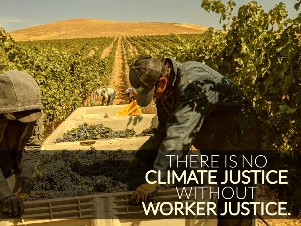 Farmworker Assoc. FL tweet media