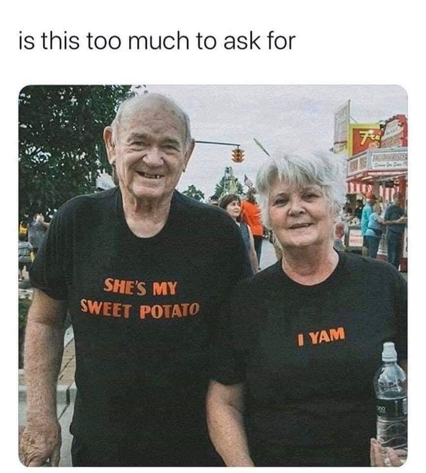 WholesomeMeme's tweet image. 