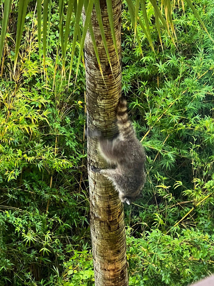 Kath preece tweet media