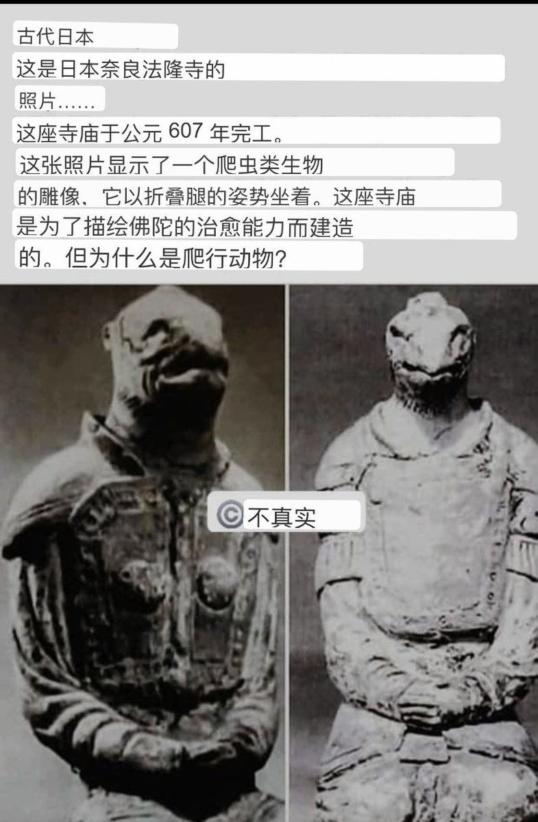 古代日本这是日本奈良法隆寺的照片…… 这座寺庙于公元607 年完工。 这张照片显示了一个爬虫类生物的雕像，它以折叠腿的姿势坐着。  这座寺庙是为了描绘佛陀的治愈能力而建造的。 但为什么是爬行动物？, image size:785x1200