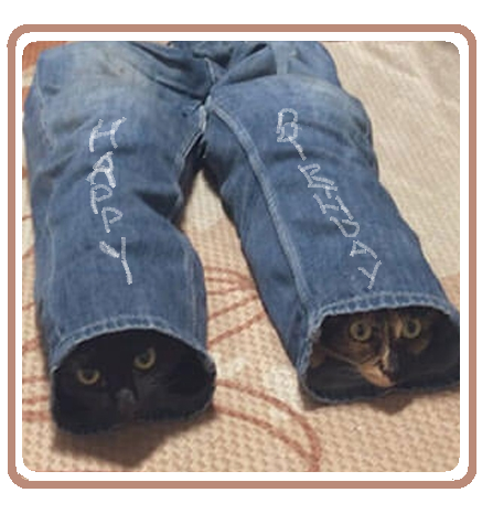 RickPatch8's tweet photo. @LarisawWhite @kiranbooo https://t.co/STkMo55SXx