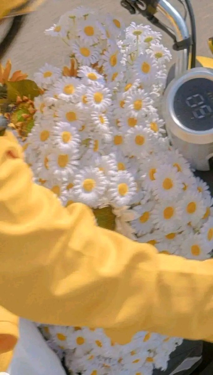 أخسر العالم كله بعفويتك وصراحتك ولا تكسب الناس بالتصنع 🐉💭🪺