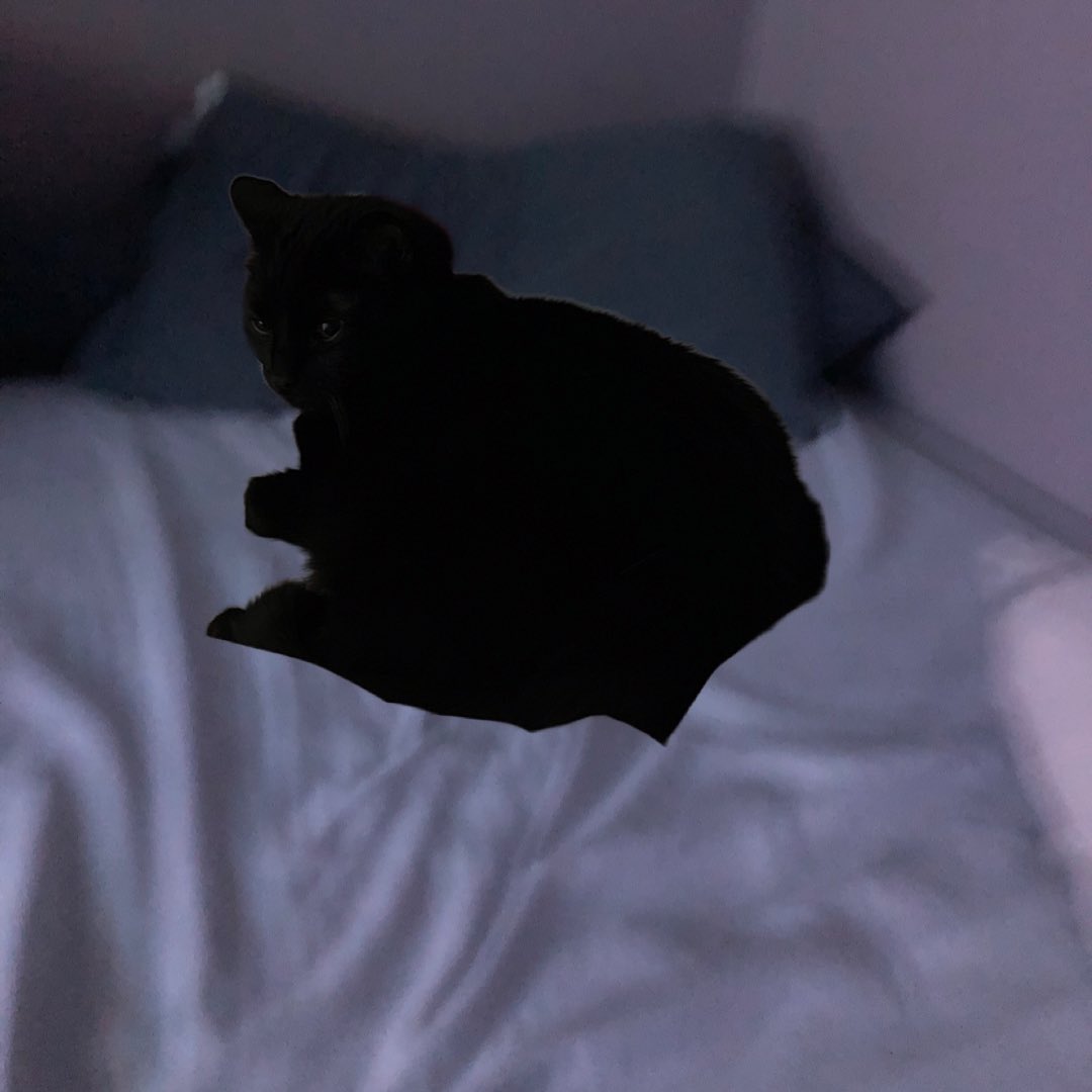 Cristiferbeast tweet media