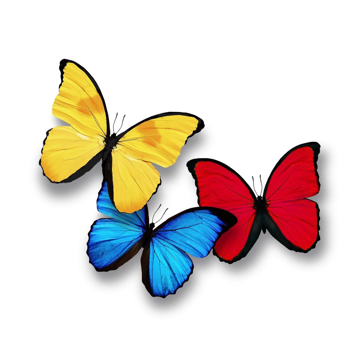 Alex_DiazD's tweet image. #PTAsaludaAlMinistroAGaviria
@PTA_Colombia desea continuar contribuyendo al cierre de brechas de inequidad en educación. @agaviriau 
@Mineducacion