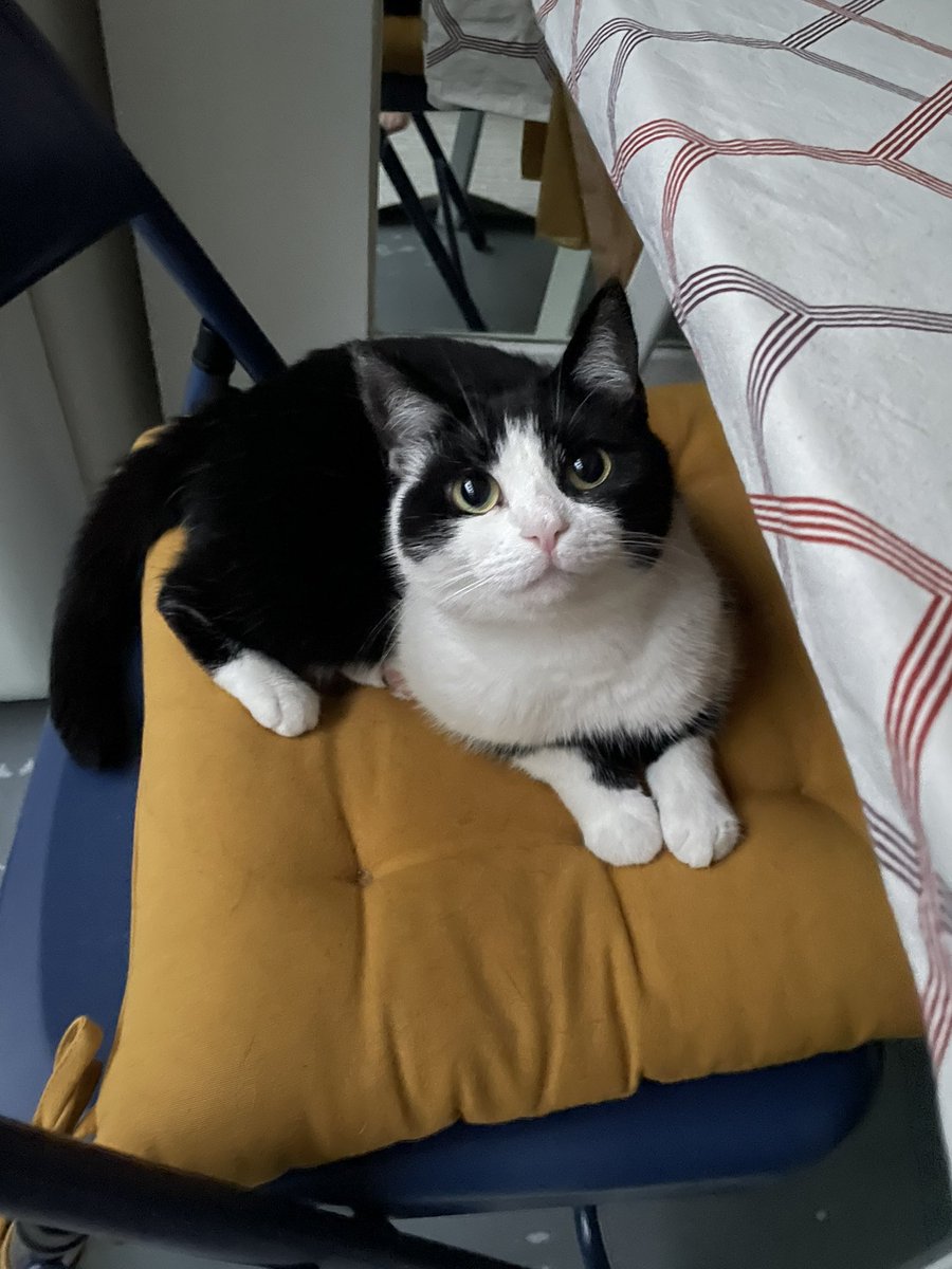 emilyreports's tweet photo. Felt cute, might delete later. https://t.co/TzP494uqwV