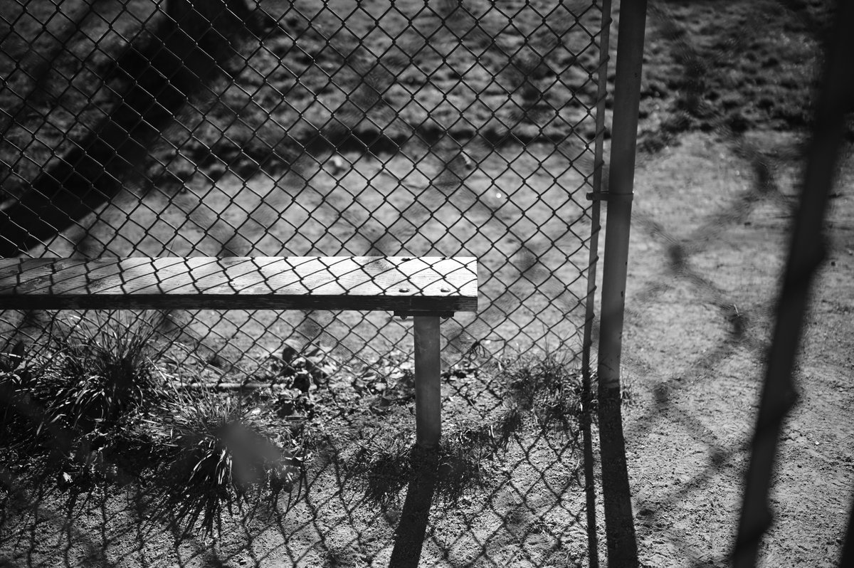 I love using #Fujifilm X-T1 but I really hate its black and white colour profile. I preferred #Nikon more.

#streetphotography #nikon #nikonz6 #toronto #downtown #august2022