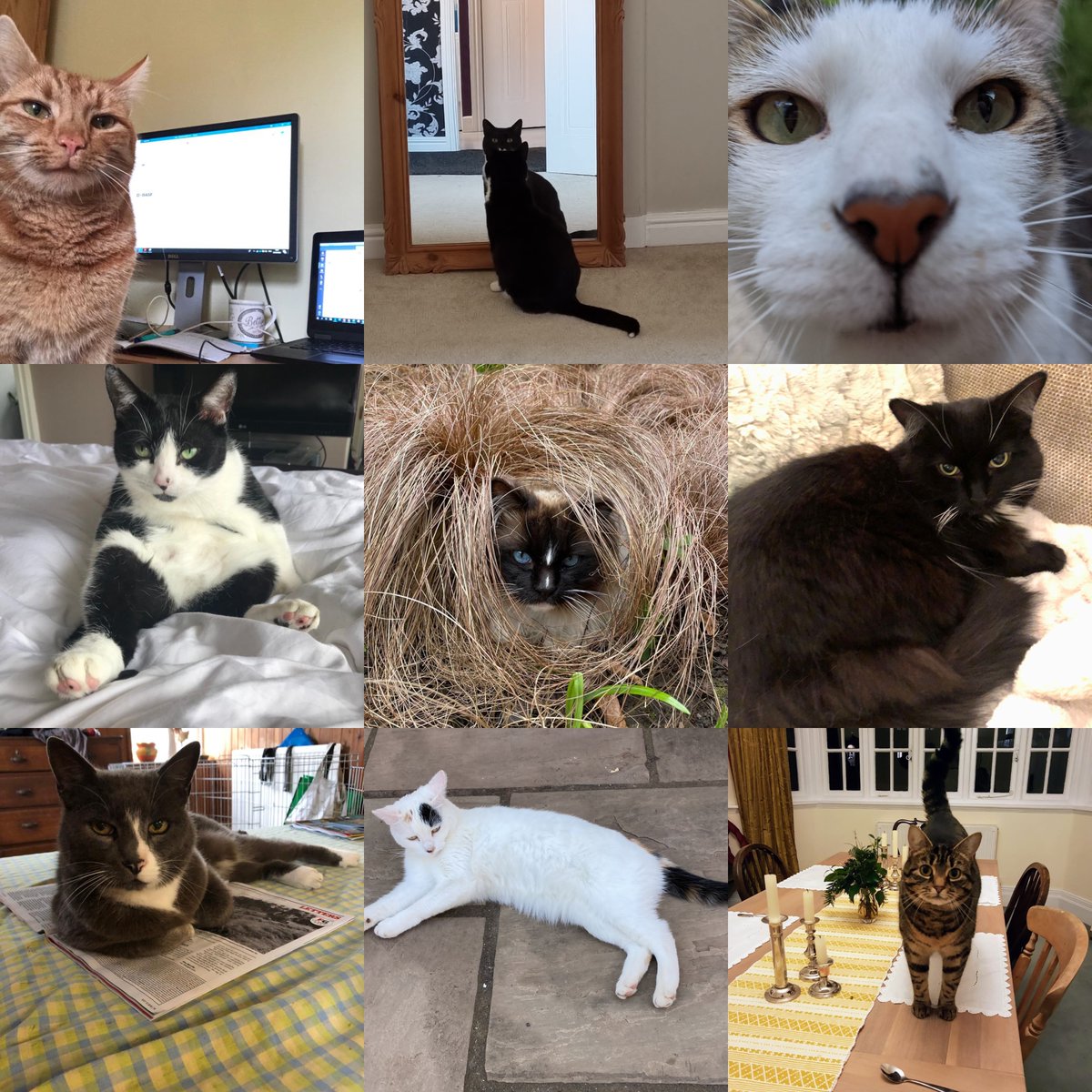 BASF Agricultural Solutions UK tweet media