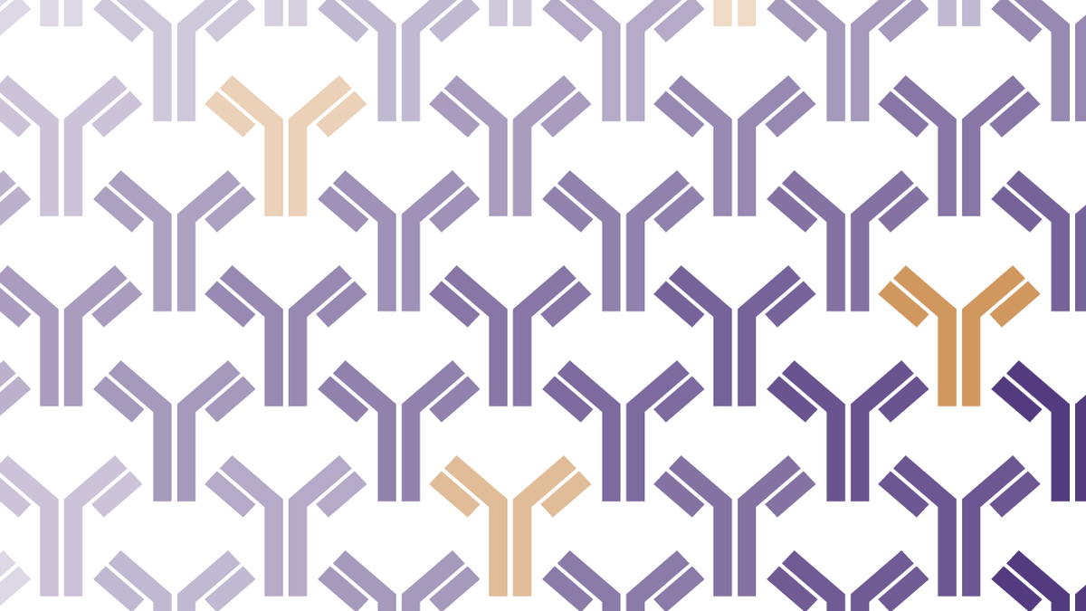 activemotif's tweet photo. Doing CUT&RUN in your lab? Shop Active Motif antibodies published for use in CUT&RUN! #Histones, #CTCF, BRDs, EZH2 & more: Buy 2, Get 1 Free using code FREE22! https://t.co/w3pHDyhvIl #Epigenetics #CUTnRUN #CUTnTag https://t.co/gWbGMfGHUV