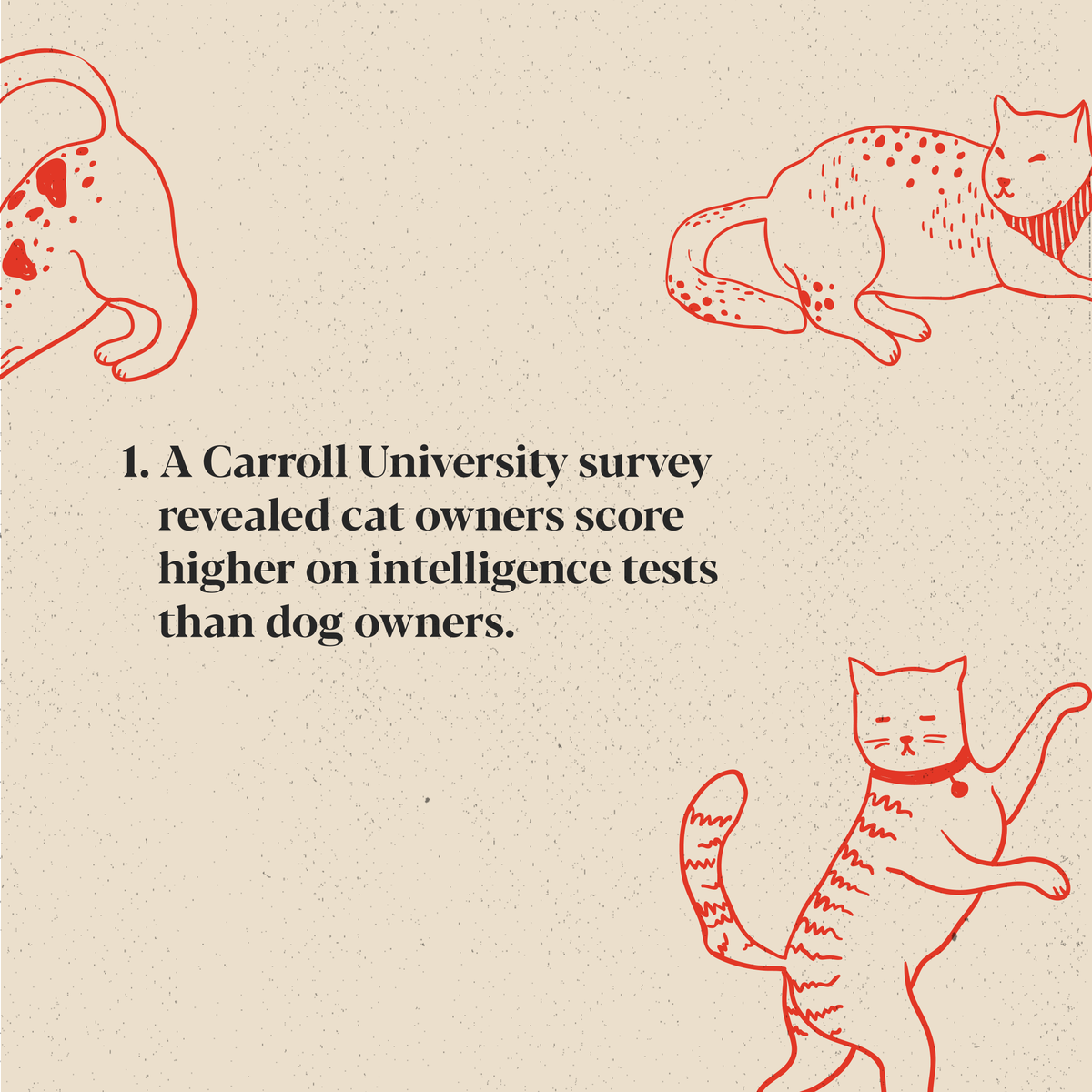 WDAdvertising's tweet image. 🐈 Furry, feline friends for the win. #InternationalCatDay