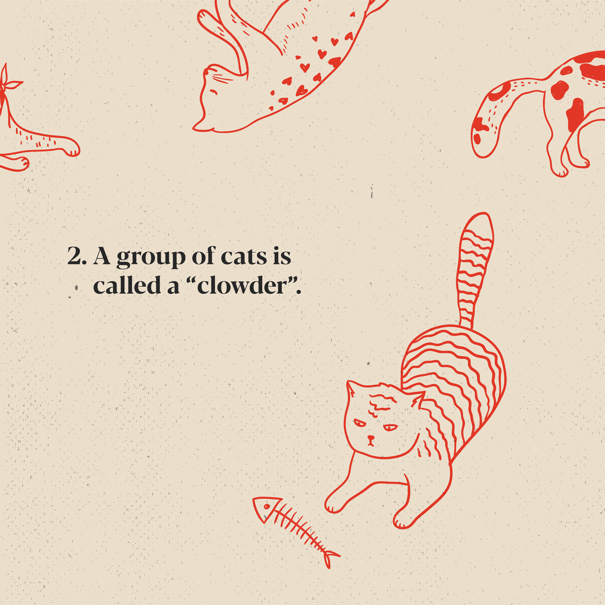 WDAdvertising's tweet image. 🐈 Furry, feline friends for the win. #InternationalCatDay