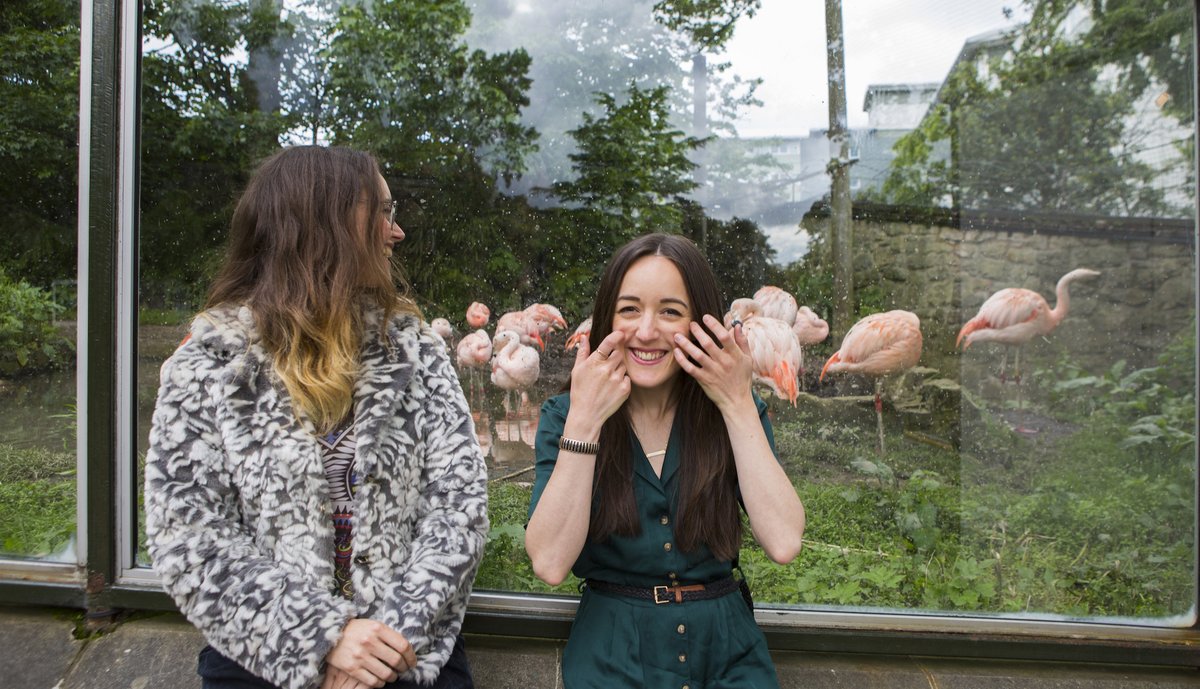 Twelfth Day tweet media