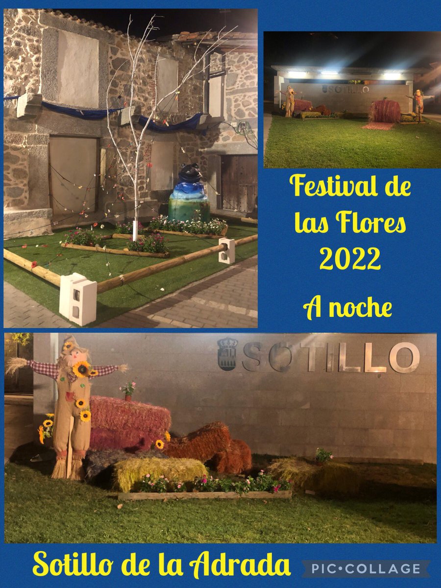 Delideb's tweet photo. More wonderful displays from the #festivaldelasflores2022 taken in the evening. Thanks to @aytosotillo for making this possible. https://t.co/zvHYVZOfqC