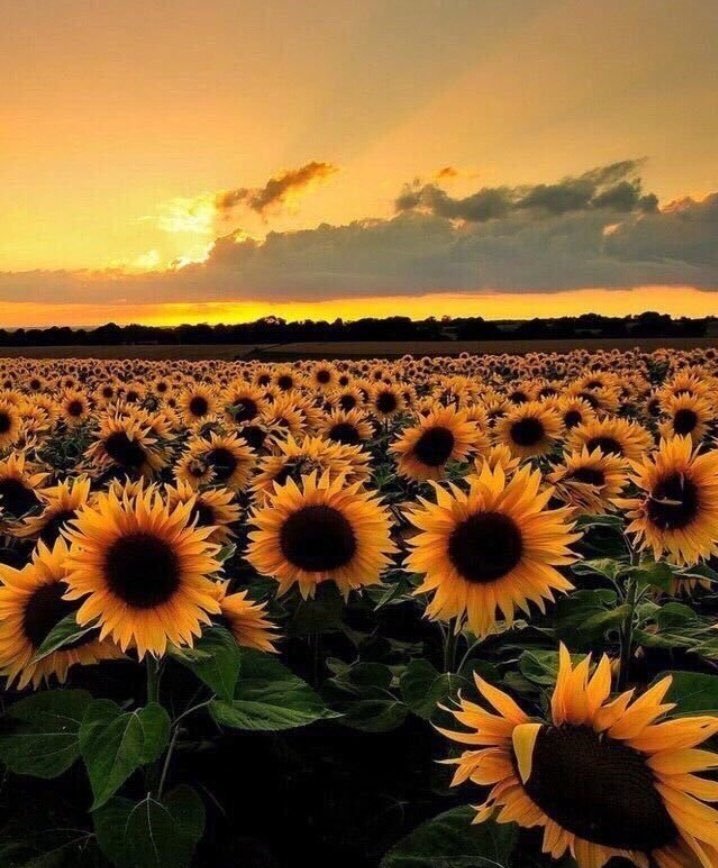 aestheticspost_'s tweet photo. https://t.co/BSp8xKgbbO