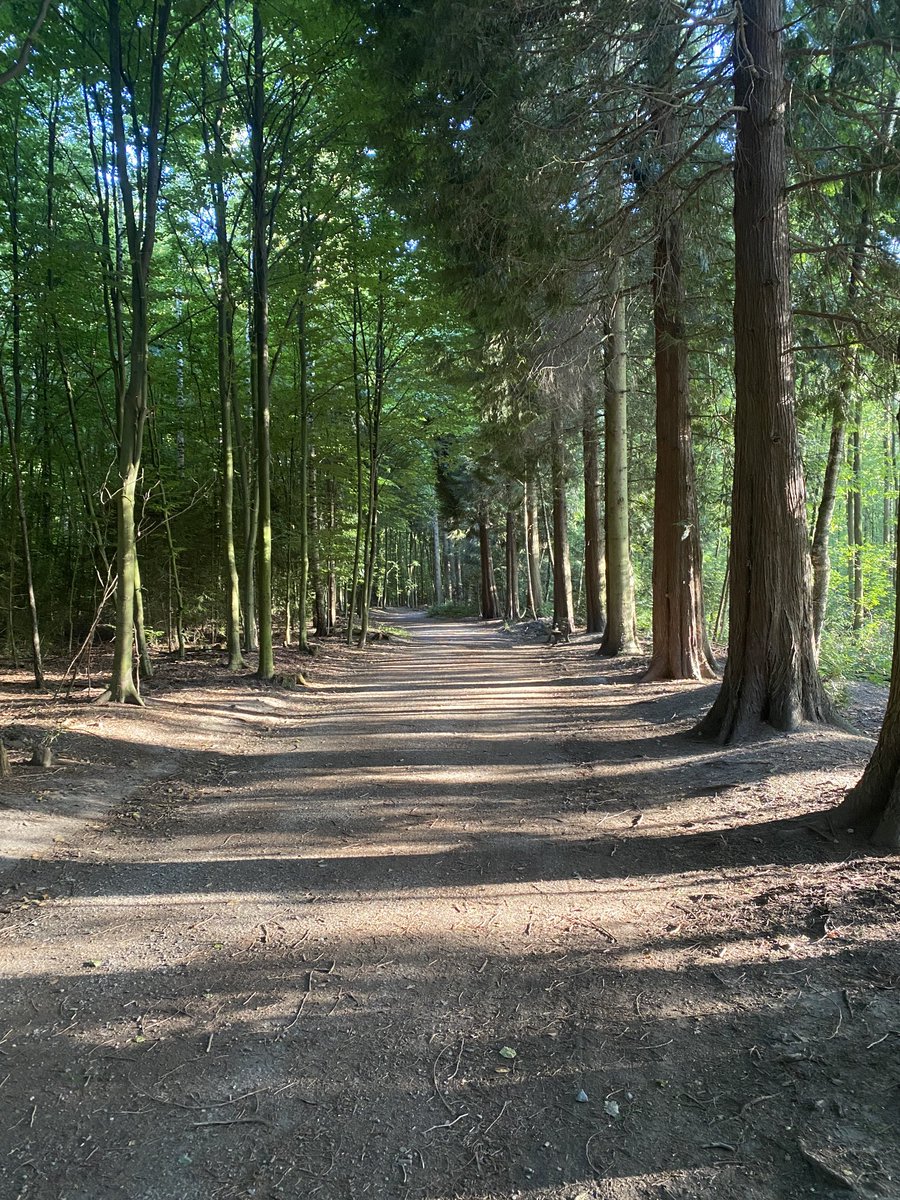 Warum stressig weit reisen? Rad- und Wanderweg in der Ohligser Heide. Aufgenommen Sonntag/ 7. 8. gegen 19 Uhr.