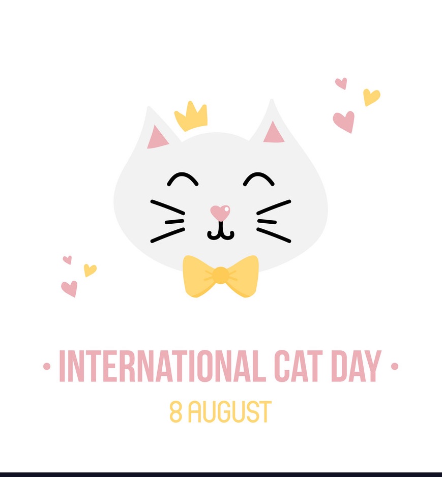 Happy International Cat Day! Comment a photo of your fur babies!