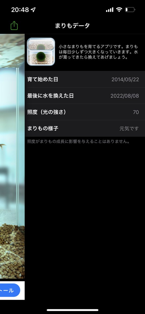 まりも育成ゲーム Twitter Search Twitter まりも育成ゲーム Twitter Search Twitter