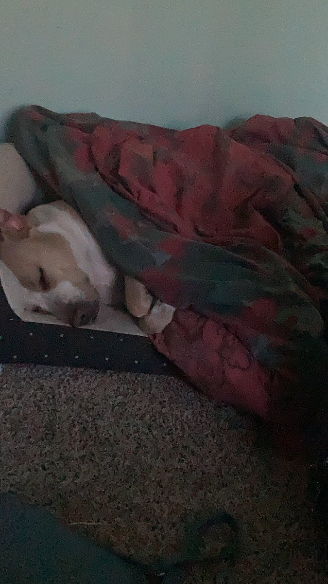 WickedDreamz29's tweet photo. Why Riley knocked tf out #KinkyWork https://t.co/8onnn0hp7b
