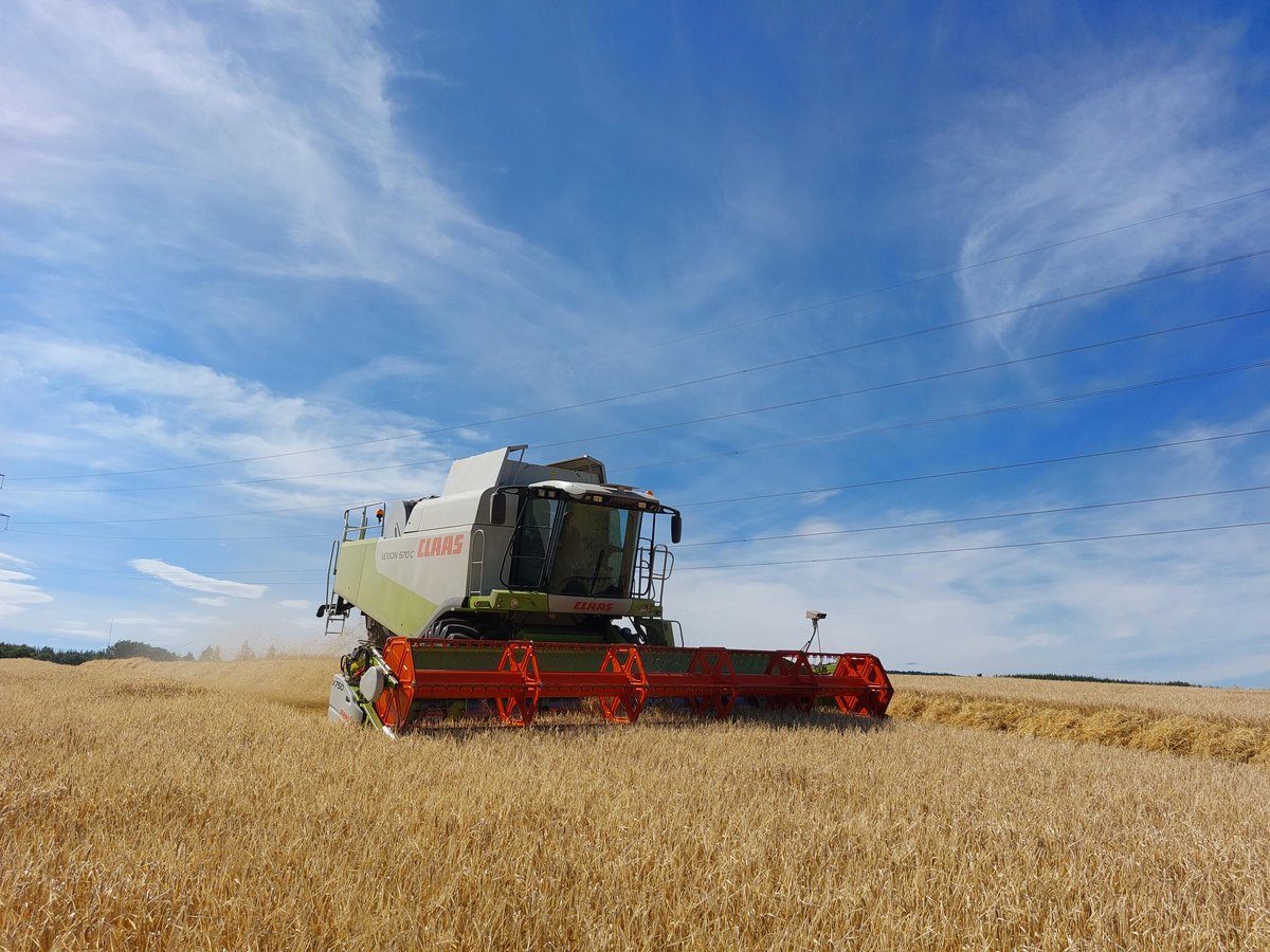 scotgrain's tweet photo. KWS Sassy being cut at Durris #GrowingInScotland #Harvest22 https://t.co/JL61IiOif2
