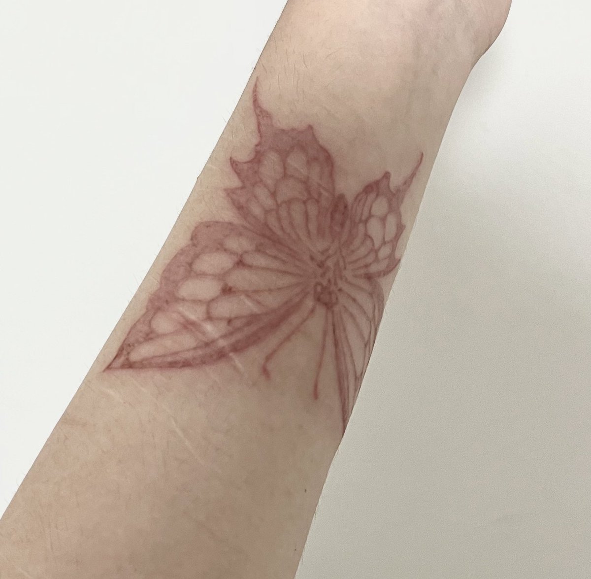 Haveen狐狸 tweet media