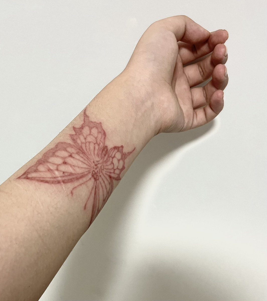 Haveen狐狸 tweet media