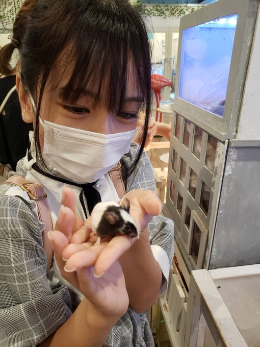 Twitterのコスプレ画像14