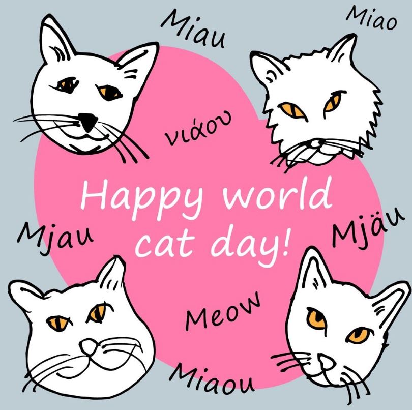 Today is #InternationalCatDay 😻 and while cats might make the same sounds, not all humans use the same words to describe them! 🐈 Check out how it's spelt across different languages! 😸⁣
⁣
How do you spell it? Share with us below! 👇