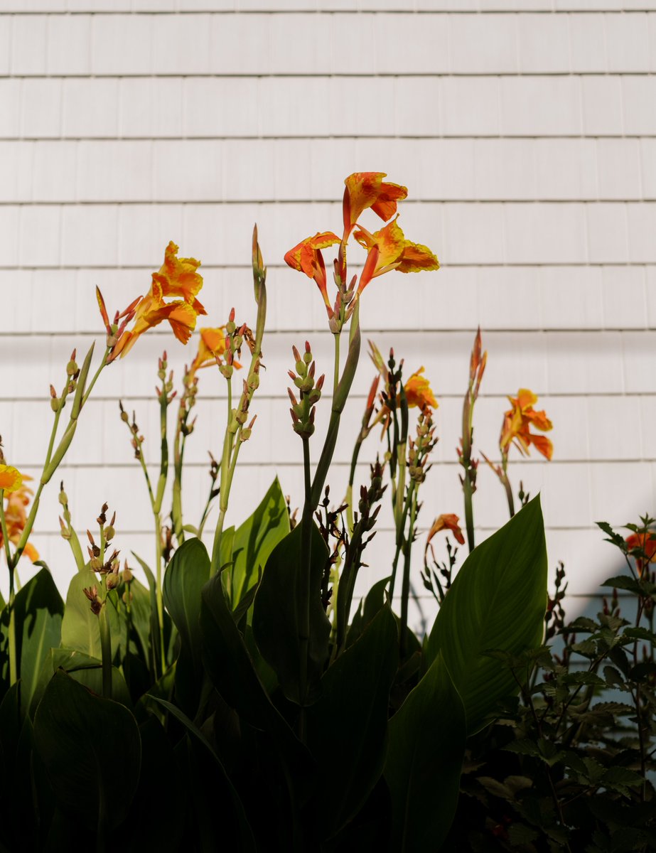 Jason Hunter tweet media