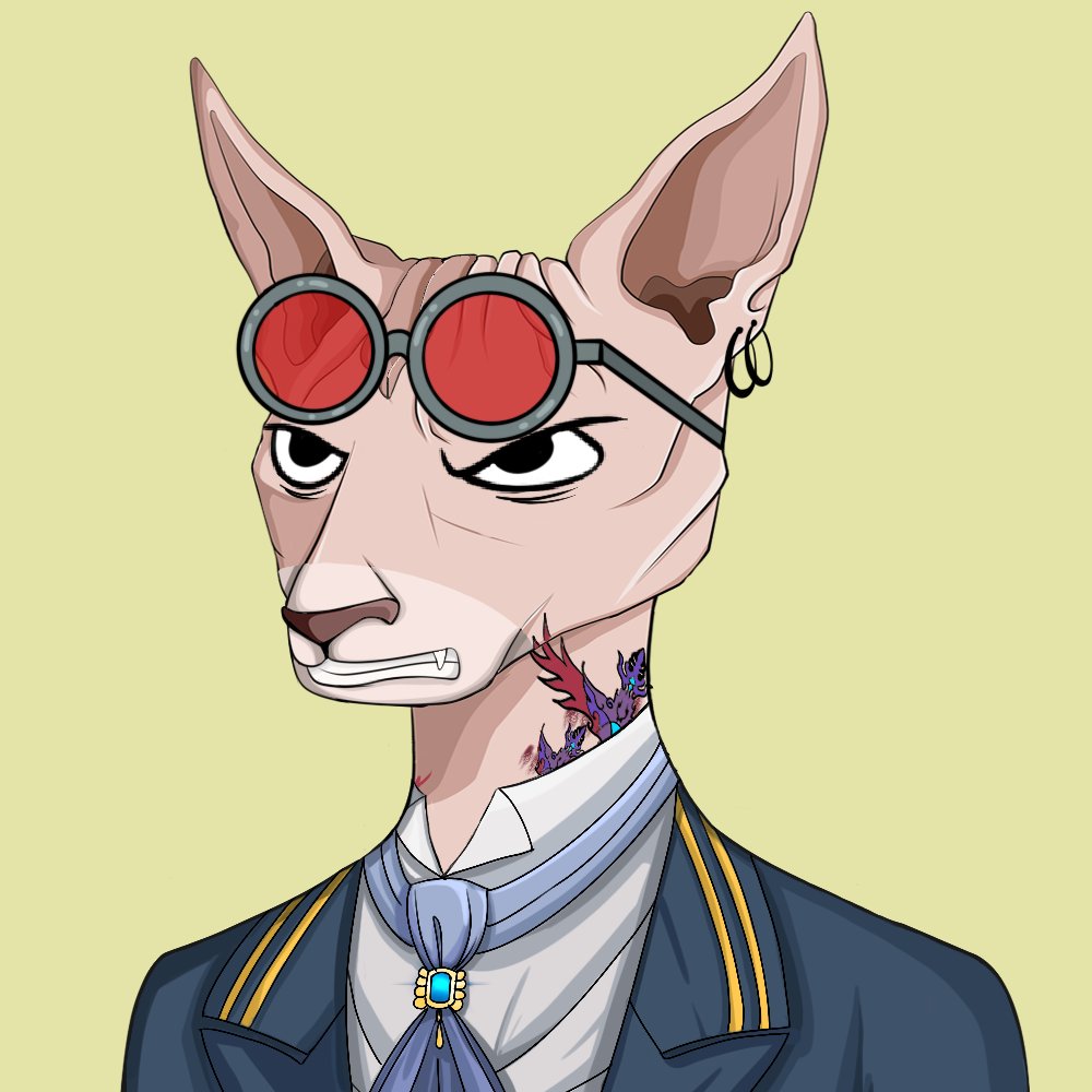 Hairless Cat NFT tweet media
