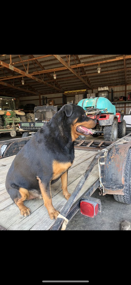 Chad Fullerton tweet media