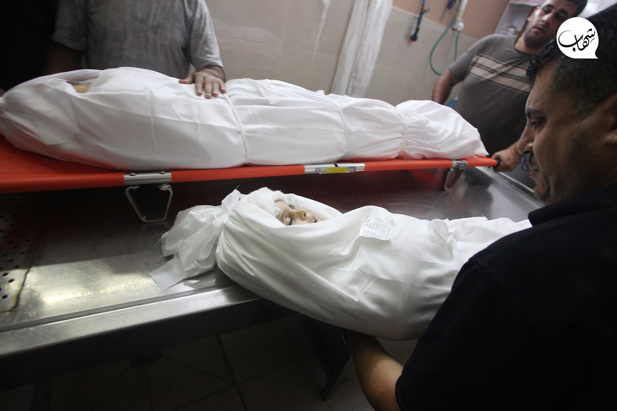 AyaIsleemEn's tweet photo. Children Gaza now https://t.co/iArGf9DSqw