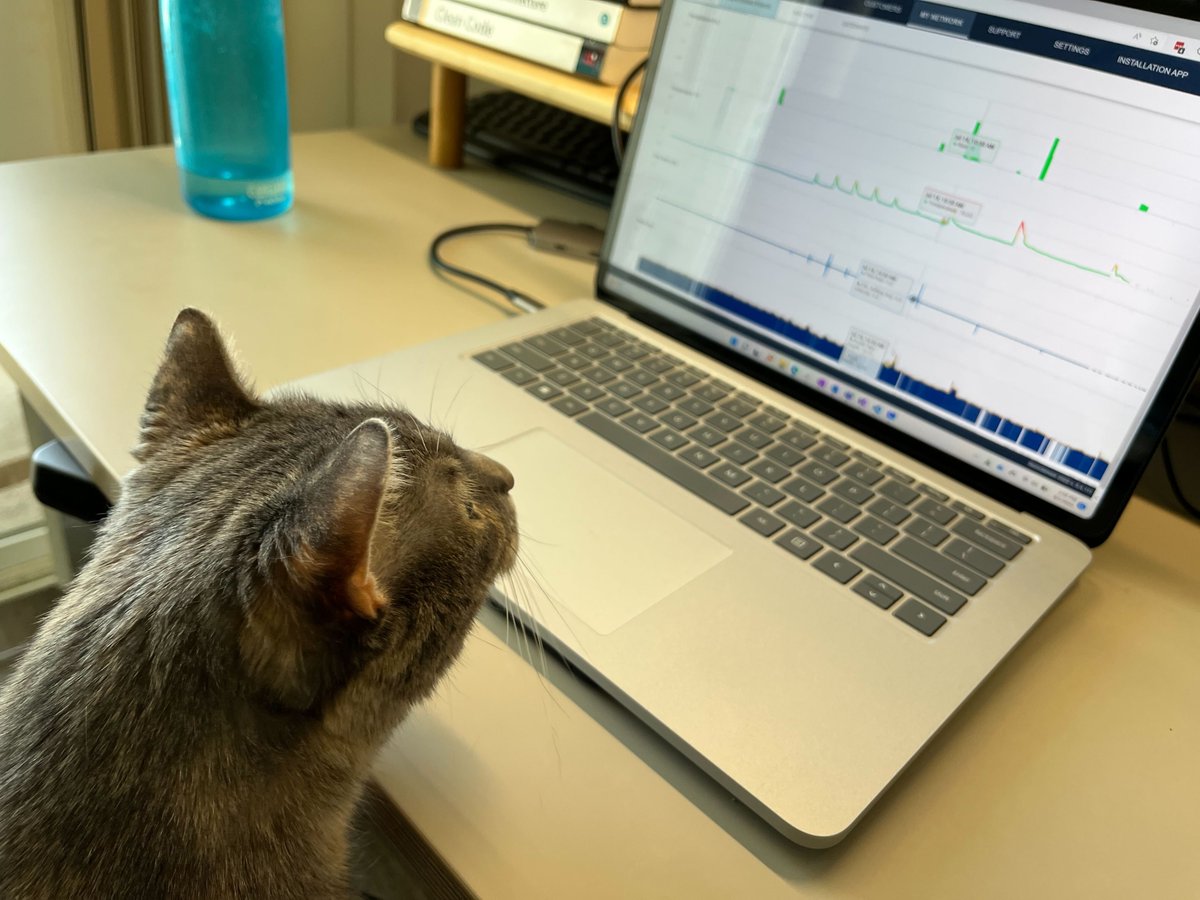 Even on #internationalcatday our feline friends are ready to get to work for our customers! 

#internationalcatday2022 #workwithus #contactus   #climatetech