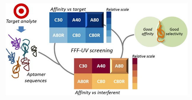 AnalBioanalChem's tweet photo. FFF-based high-throughput #sequence shortlisting to support the development of aptamer-based #analytical strategies
by Valentina Marassi et al @Ciamician_unibo @Unibo @unipr @BiofisicaCnr @CNRsocial_ #FFF #aptamers #EarlyCareer 

#OpenAccess 
https://t.co/yb8ExqL0JN https://t.co/S8DJBUdGCF