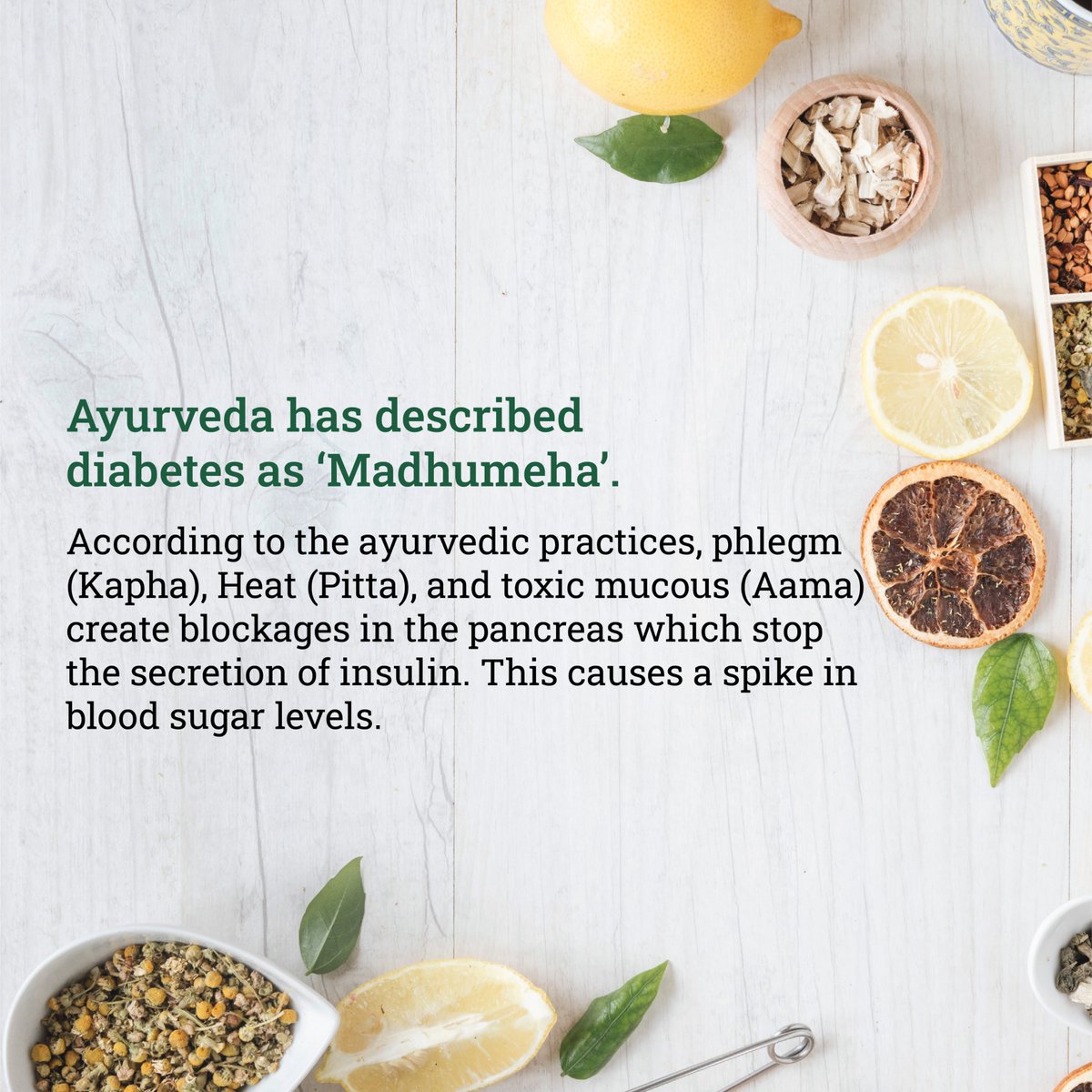 IndiaOjamin's tweet photo. Ayurveda is being practiced in India for more than 3000 years now. The vast majority (90%) of Ayurvedic remedies are plant based, and hence are never discarded by the body upon intake. #ojamin #ojaminindia #ayurveda #ayurvedic #ayurvedalife #plants #health #healthylifestyle https://t.co/8sYMXkASRO