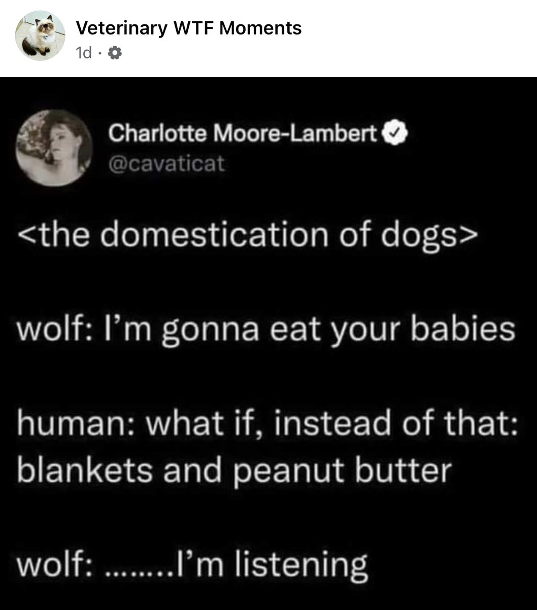 VetGirlOnTheRun's tweet photo. Monday morning funny ๐ #repost @veterinarywtfmoments @cavatcat #vetttech #vetmed #vetgirl #veterinary https://t.co/vQF4yRKw7M