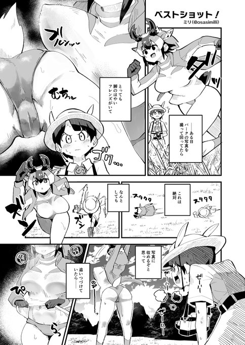 【コミケ原稿宣伝②】
しこりぱさん@shikoripa主催の「ジャパリパーク精通合同誌2」に
カメラ小僧がプロングホーンちゃんを執念でおっかけまわす漫画2p寄稿してます🥳
🍈書籍通販:https://t.co/ZMNI1pw2Vi
💻電子通販:https://t.co/tRaINEipJe
※イベント頒布は9/25予定です 