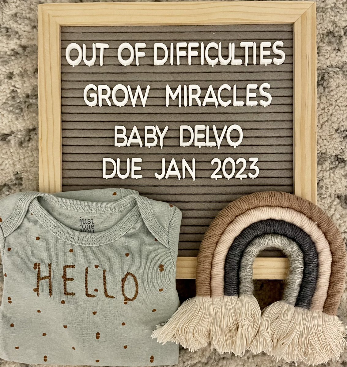 mcunningham05's tweet photo. Baby Delvo due in January!! 💙💖🌈🌈 https://t.co/lauvoy9PPT
