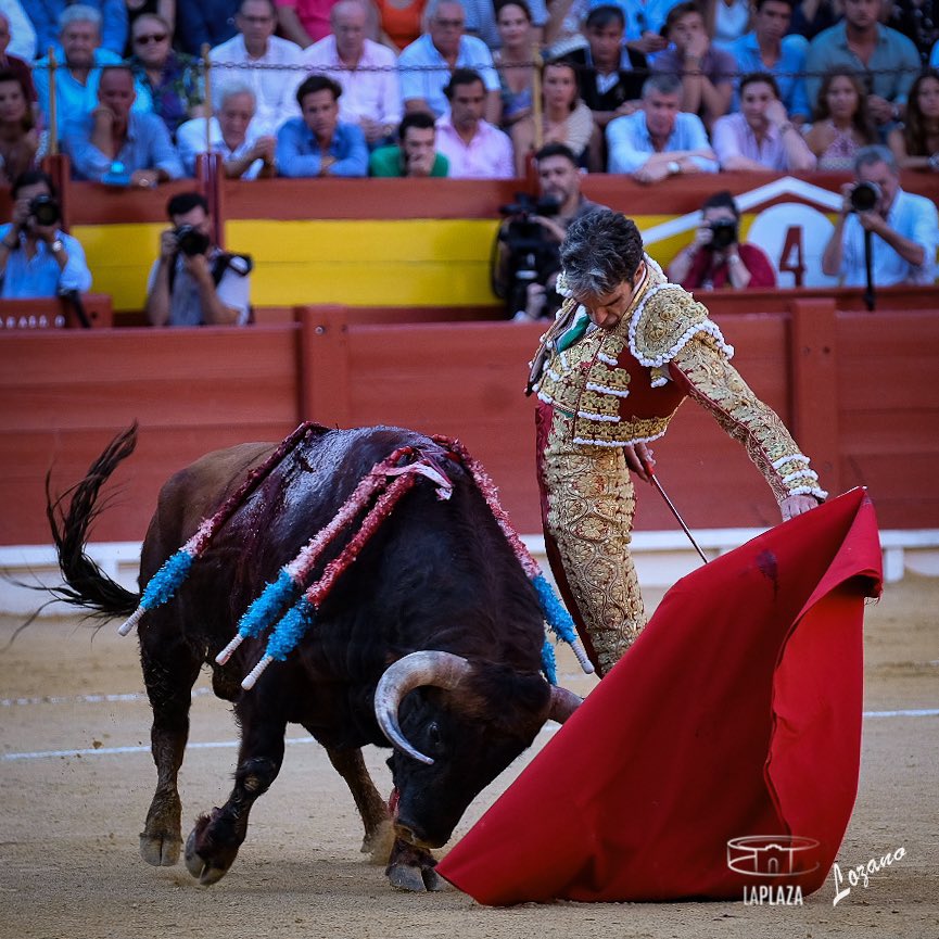 Atrevida la ignorancia de quién pone en duda a José Tomás siendo el figurón de época que representa y el interés que sigue despertando en estos tiempos tan turbulentos.

Así está Twitter…