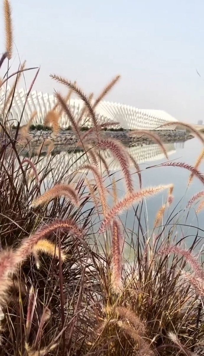 آللَّـهُمَّ هـَوِّن ؏َـلينآ مَـآلآ يـَعلَـمَهُ غـَيرك ..🤍

مـَسآآء آلنــُّور ..🤎