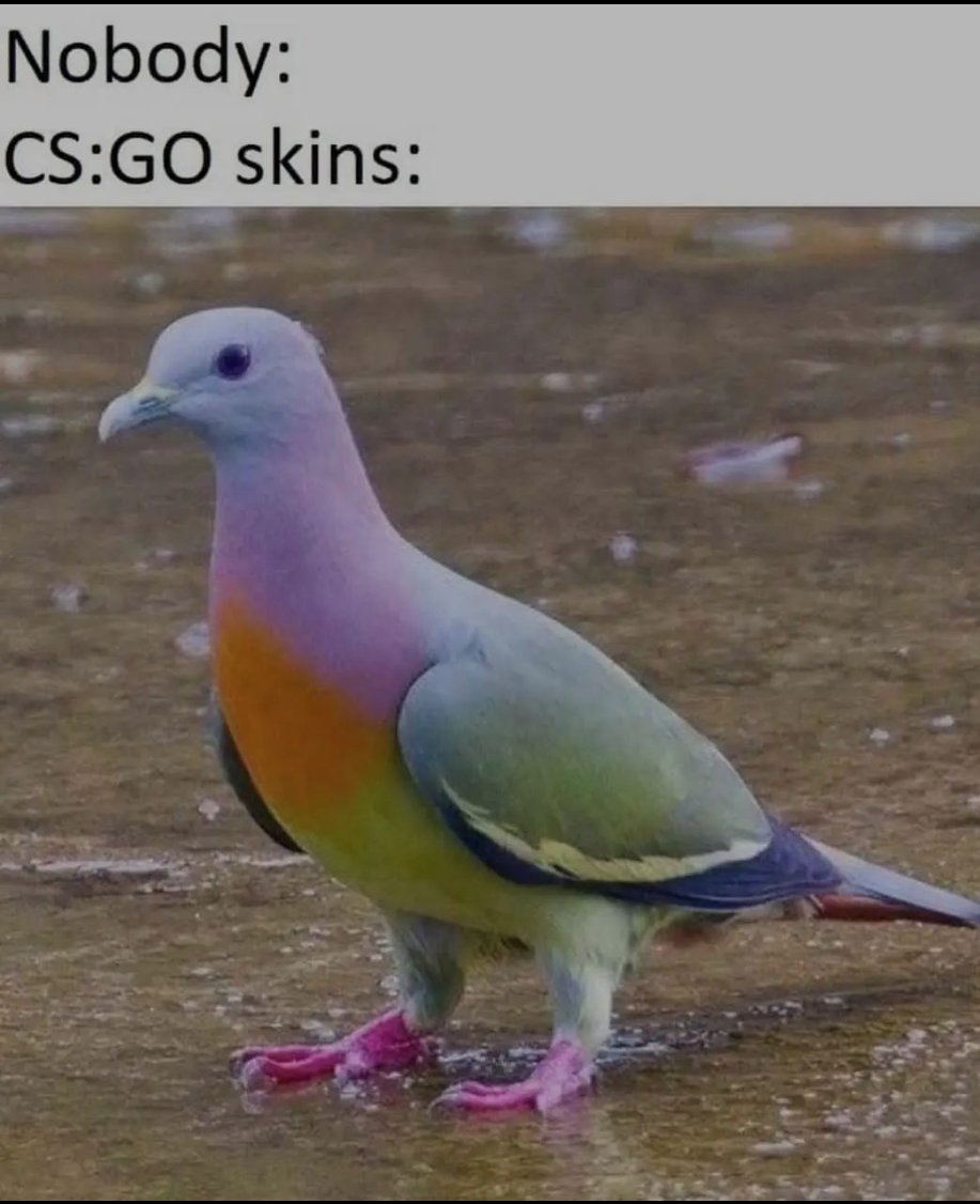 Yes yes ))
#CSGO