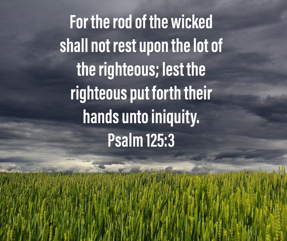 VRutledge2016's tweet image. 