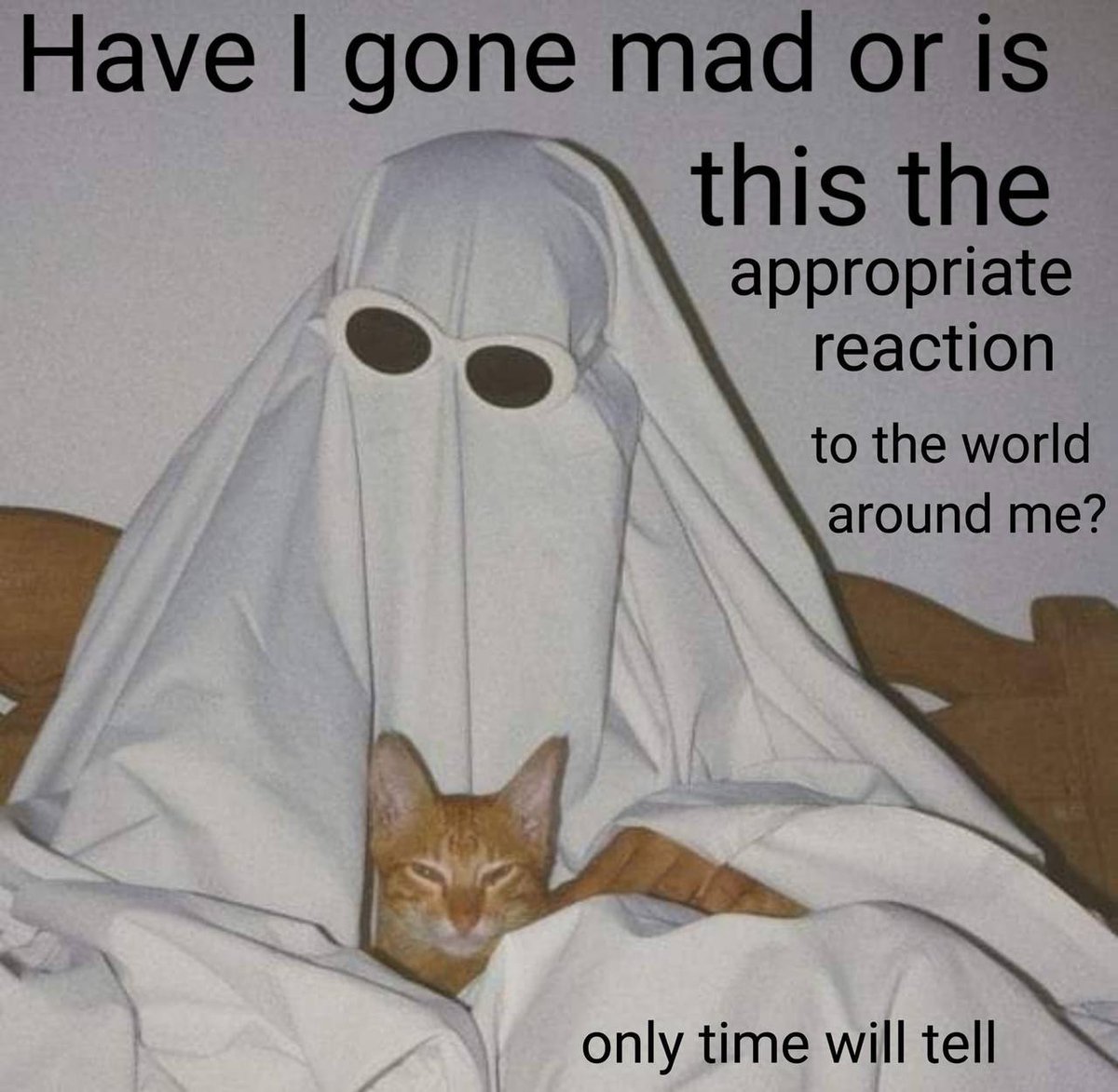 ledhelminth's tweet image. 