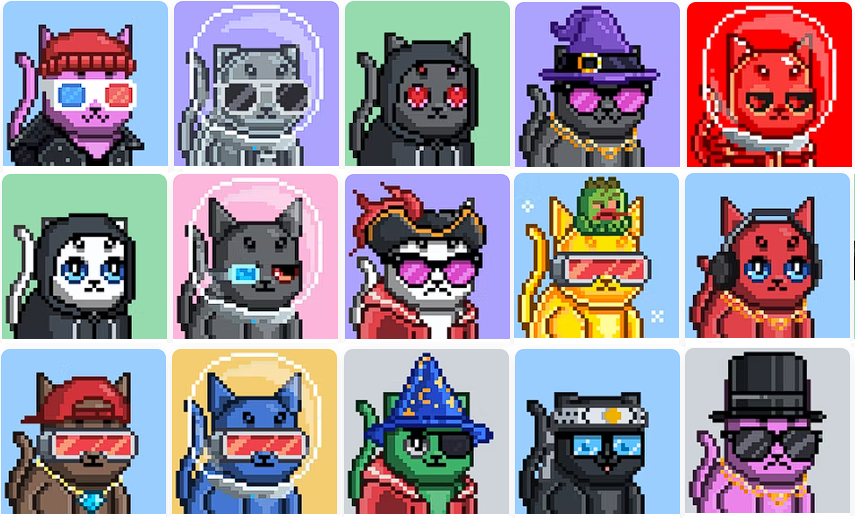 SolidHandle's tweet image. HAPPY INTERNATIONAL CAT DAY &amp;lt;3 mine may not be real but I can travel the world with them &amp;lt;3 @MooncatzNFT  #NFTCommunity #GoodVibes #meow