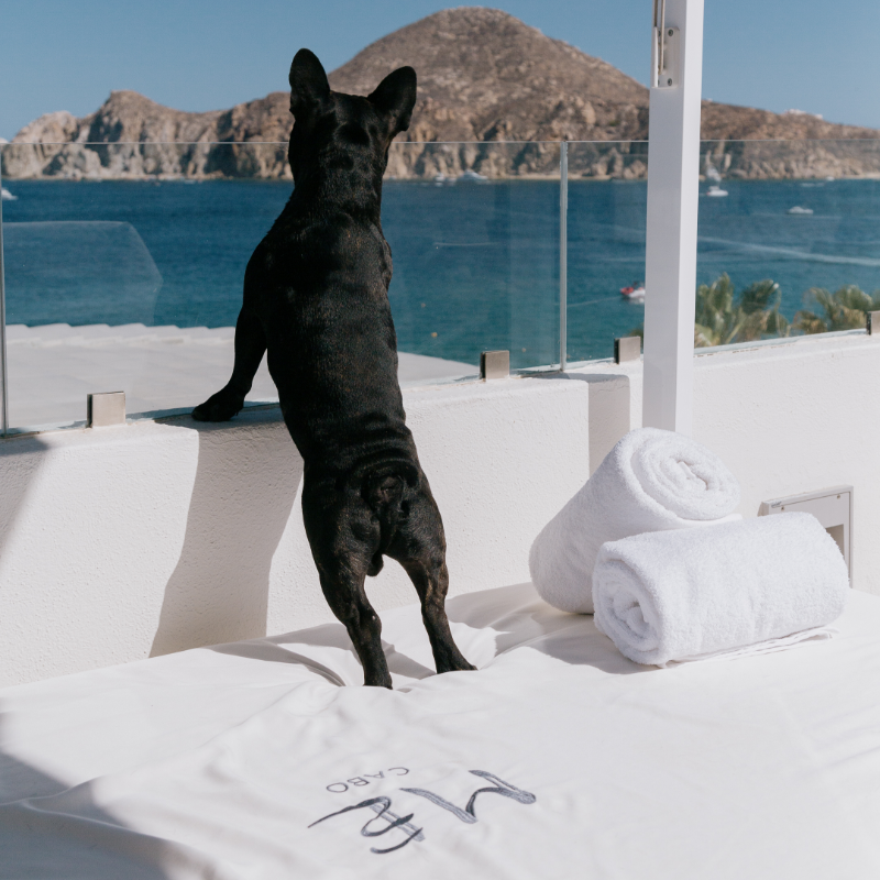 MEbyMelia's tweet photo. It's time for a holiday neither one of you will ever forget.
Adventure and relax await at @mecabo_hotel.
#MEbyMelia #MECabo #WeAreME