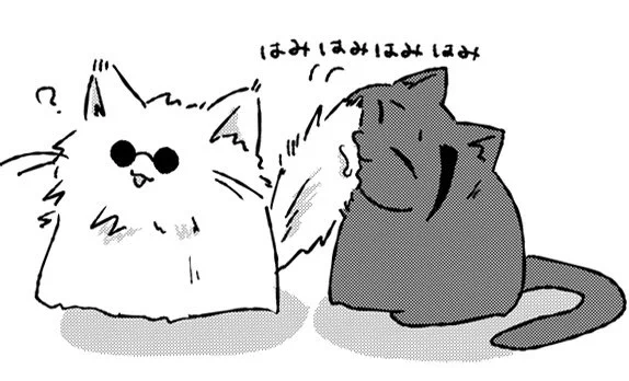 🐈‍⬛ 