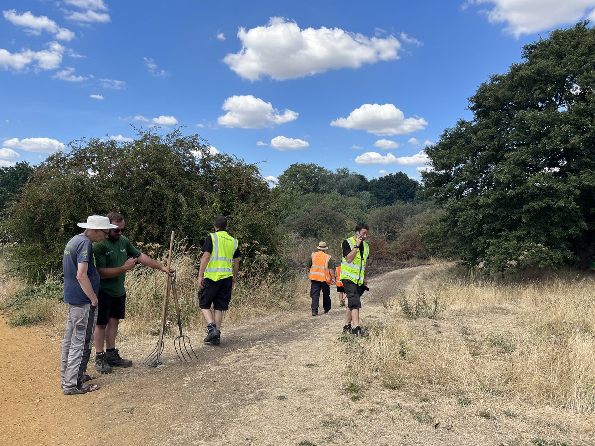 cllrtombruce's tweet photo. Another parks fire today, this time near Pevensey Rd Nature Reserve (back of SW Mid Crem). Swift work by parks teams from ⁦@LBofHounslow⁩ and #Lampton360 to engage ⁦⁦@LondonFire⁩ and great work by them to bring the fire under control. https://t.co/qnqnzmLFRk