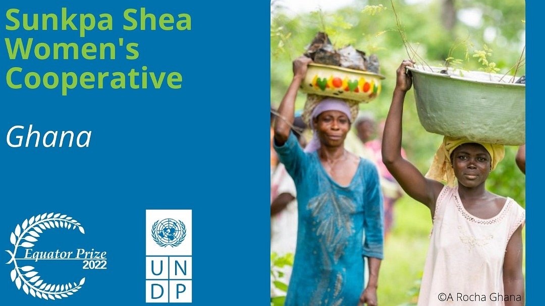 Nature-based solutions are key to building community resilience for #SDGs attainment.

I am excited to celebrate Sunkpa Shea Women's Cooperative from 🇬🇭 as @UNDP #EquatorPrize 2022 winner for improving lives of 800 women & restoring ecosystems.

More ➡️ bit.ly/3bGsJZF
