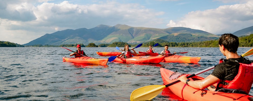 RipeInsurance tweet media